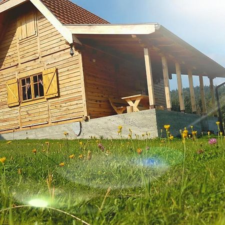 Brvnara Tara Villa Bajina Basta Eksteriør bilde