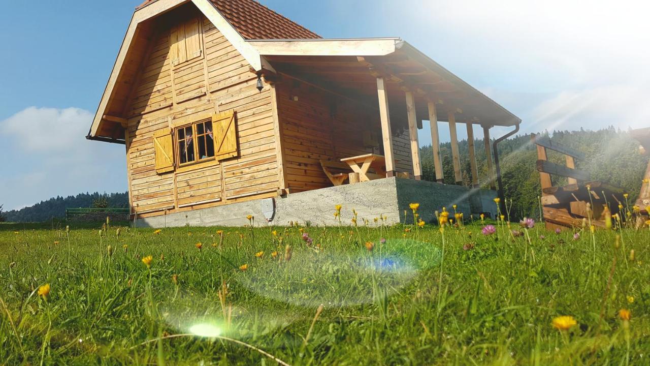 Brvnara Tara Villa Bajina Basta Eksteriør bilde
